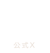 公式X