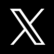公式X